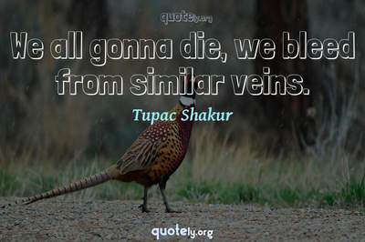 Photo Quote of We all gonna die, we bleed from similar veins.