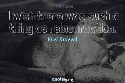 Photo Quote of I wish there was such a thing as reincarnation.