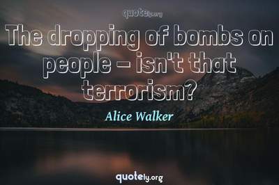 Photo Quote of The dropping of bombs on people - isn't that terrorism?